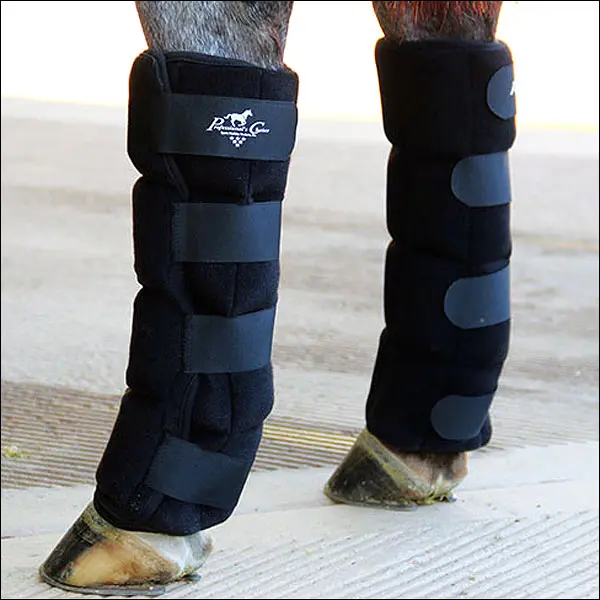 4X6 Large Size Professional Choice Neoprene Horse Ice Boot Black 1