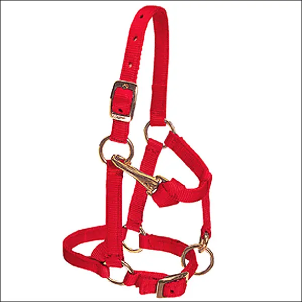 Weaver Red Nylon Miniature Horse Adjustable Chin And Throat Snap Halter Average 1