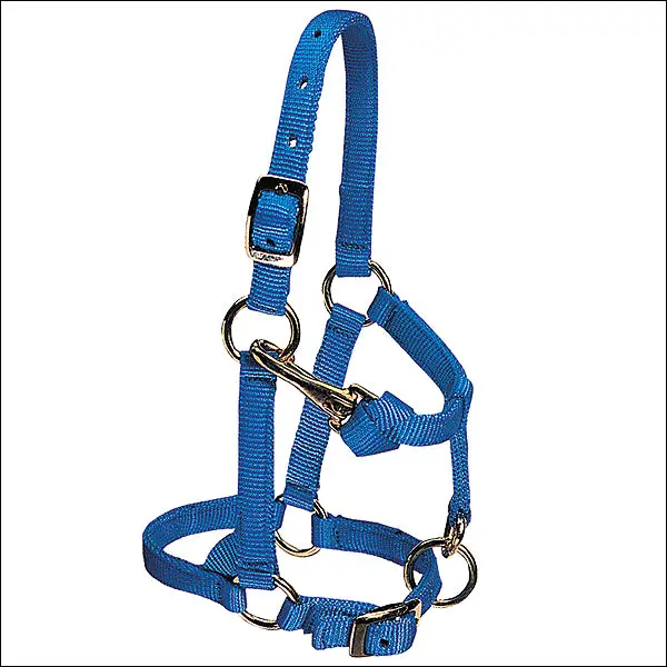 Weaver Blue Large Nylon Miniature Horse Adjustable Chin Throat Snap Halter 1