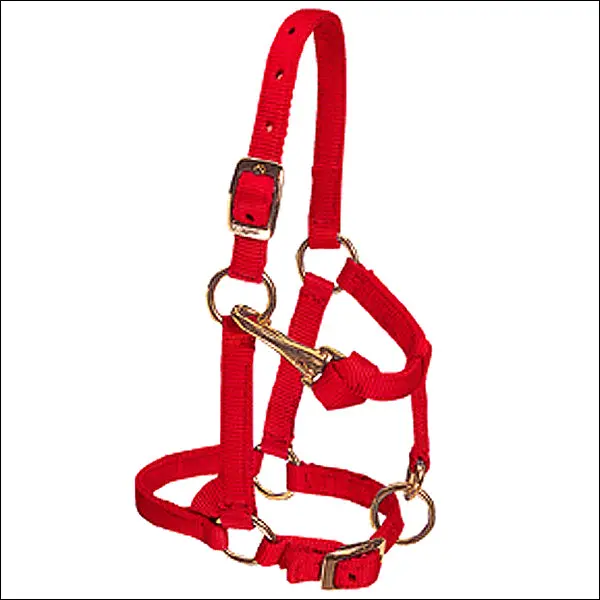Weaver Red Large Nylon Miniature Horse Adjustable Chin Throat Snap Halter 1