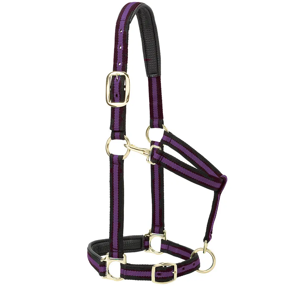 Purple Weaver Western Padded Snap Horse Halter 1" Large Draft 1