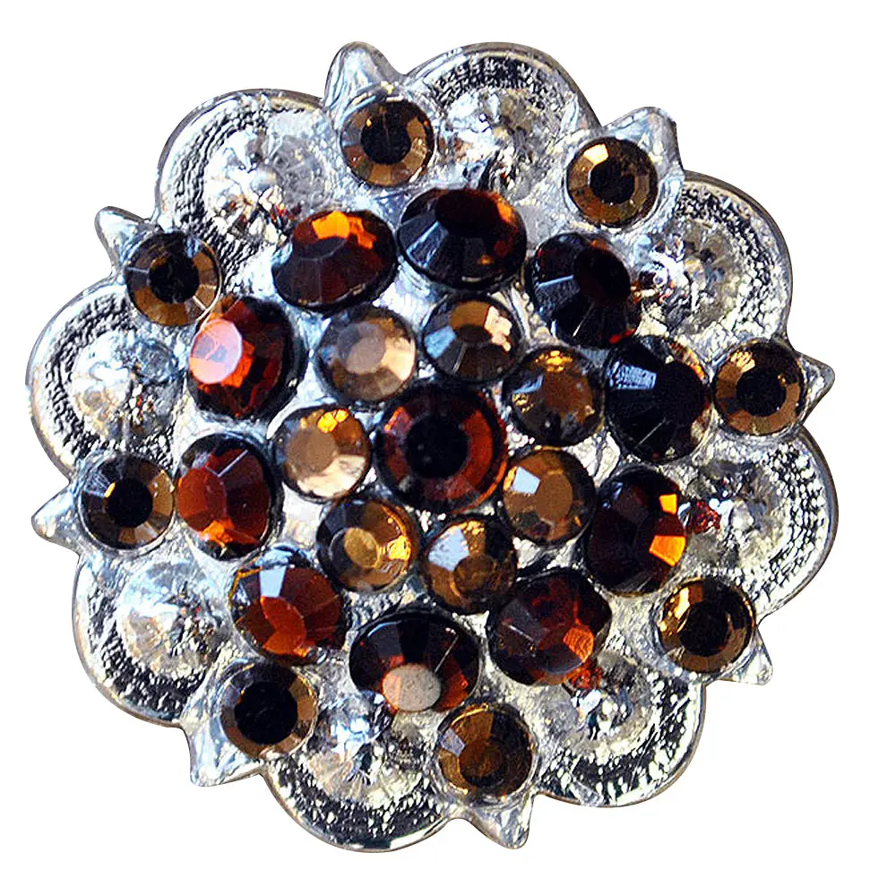 Brown Topaz Crystal Berry Headstall Saddle Cowgirl Hilason 1