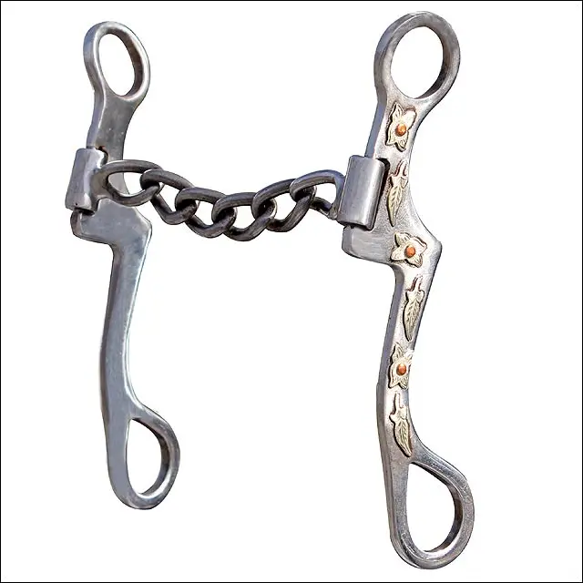 Professional Choice Bob Avila Byron Shank Chain Mild Horse Mouth Bit 1