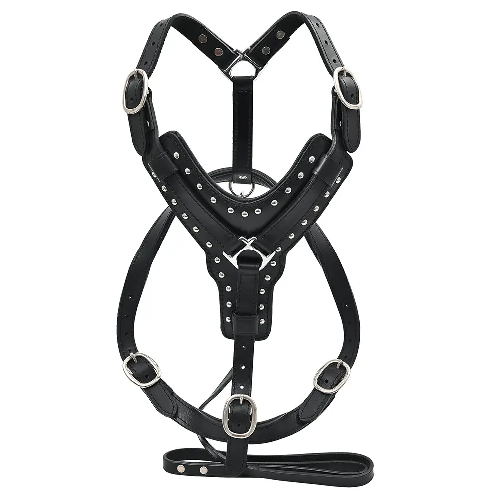Hilason Genuine Leather Dog Harness Padded Heavy Duty & Comfortable Fit 1