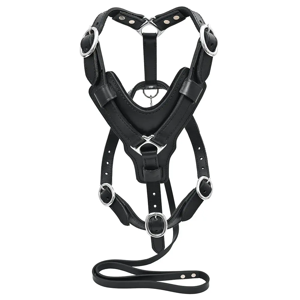 Large Leather Dog Harness Black Padded Genuine Matching Leash Hilason 1