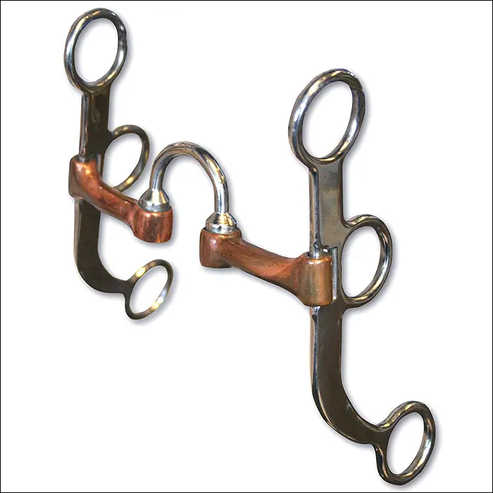 Professional Choice Bob Avila Training Correction Horse Bit 1