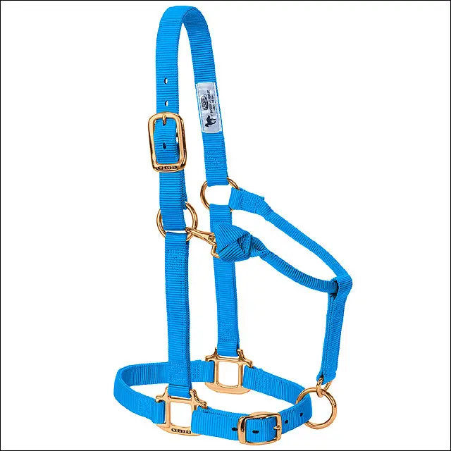 Hurricane Blue Weaver Original Adjustable Chin Throat Snap Halter 3/4" Suckling 1