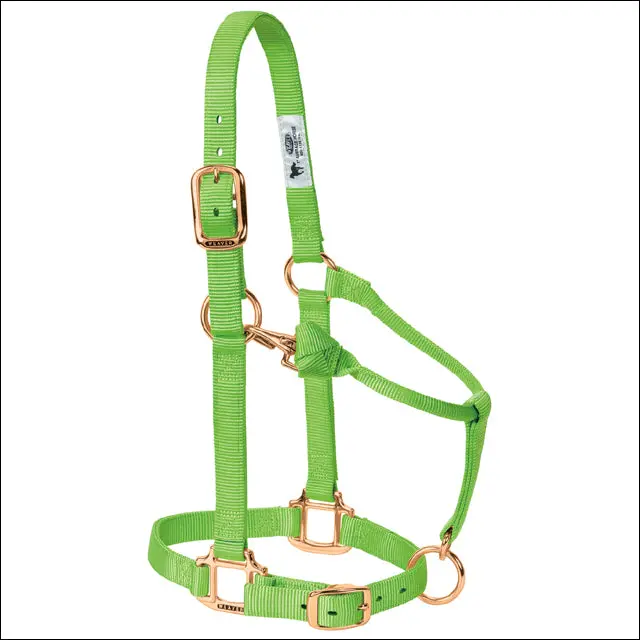 Lime Zest Weaver Original Adjustable Chin Throat Snap Halter 3/4" Suckling 1