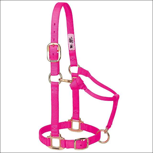 Diva Pink Weaver Original Adjustable Chin Throat Snap Halter 3/4" Weanling Pony 1