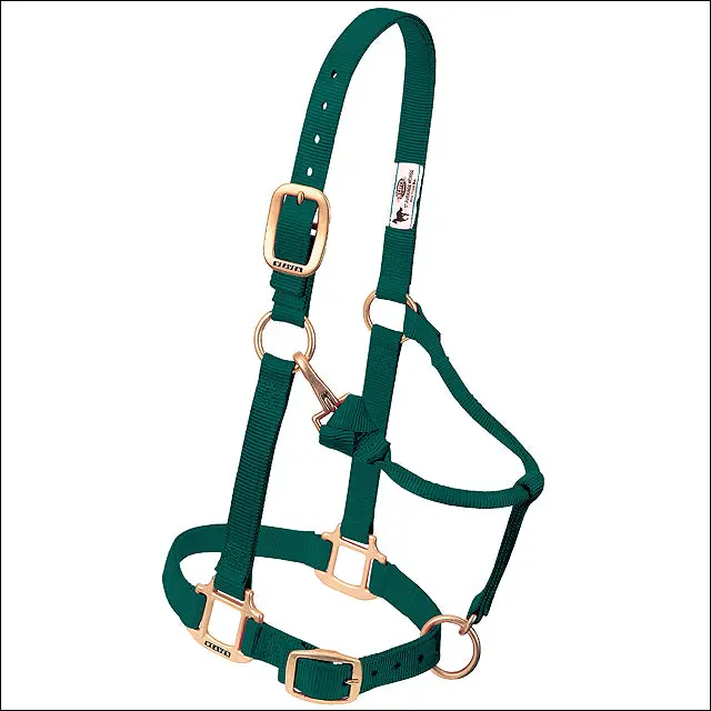 Hunter Green Weaver Adjustable Chin Throat Snap Halter 3/4" Weanling Pony 1