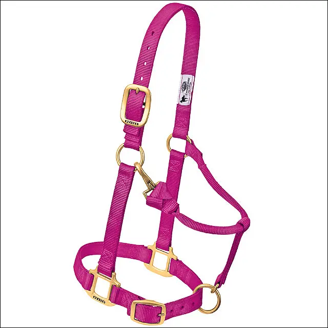 Raspberry Weaver Original Adjustable Chin Throat Snap Halter 3/4" Weanling Pony 1