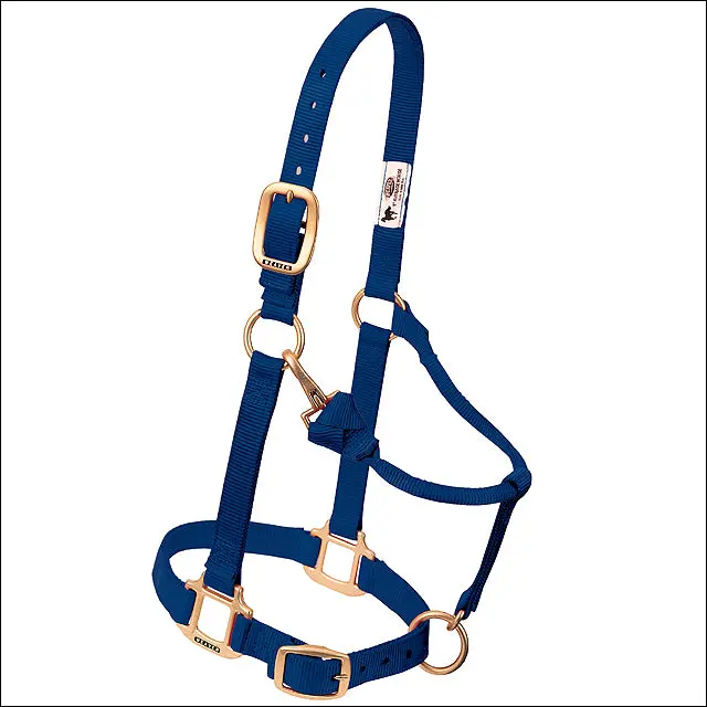 3/4 In Arabian Cob Weaver Original Chin Throat Snap Horse Halter Navy 1
