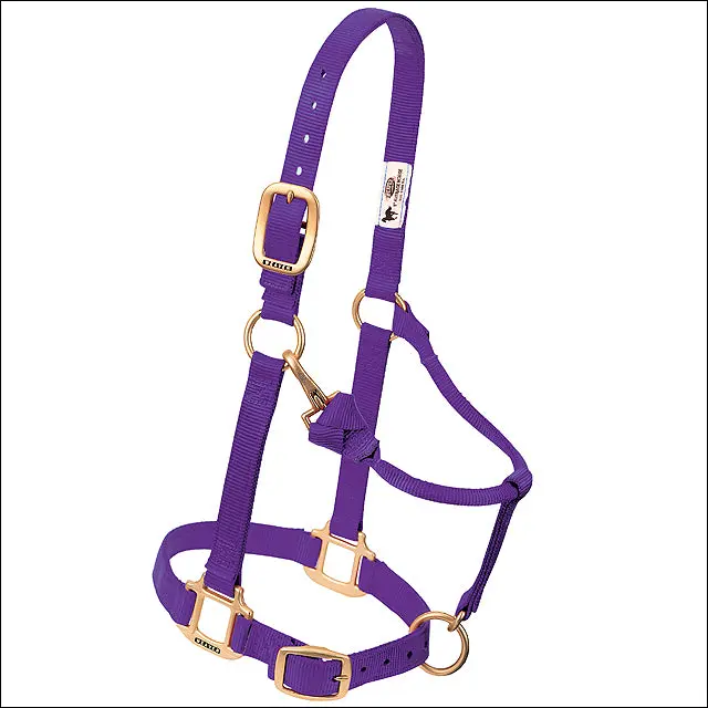 Weaver Purple Horse Nylon Halter Adjustable Chin 3/4" Arabian/Cob 1