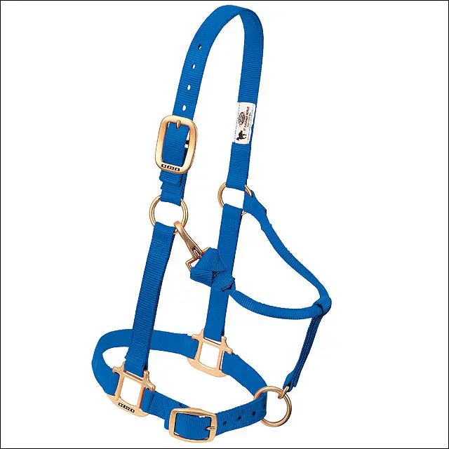 Weaver Leather Original Adjustable Nylon Horse Halter, Blue, 1" Yearling 1