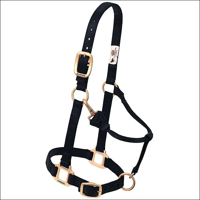 Weaver Black Horse Nylon Heat Sealed Buckle Halter Adjustable Small 1