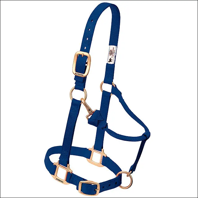 Weaver Navy Green Horse Nylon Heat Sealed Buckle Halter Adjustable Small 1