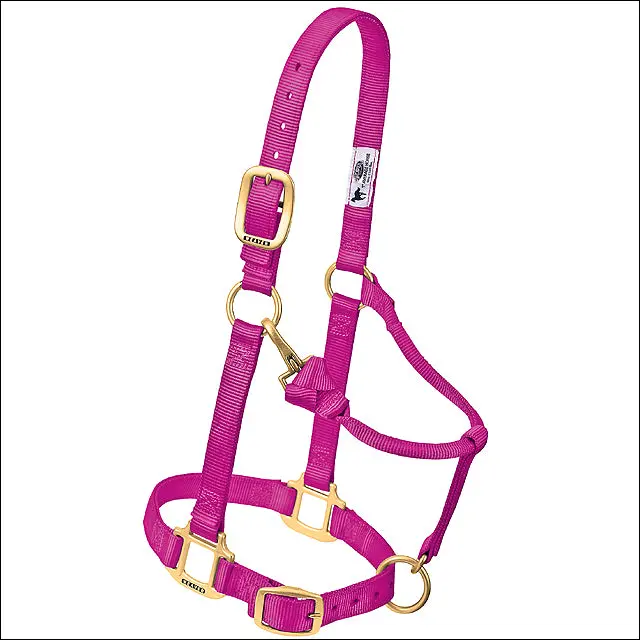 Weaver Raspberry Horse Nylon Heat Sealed Buckle Halter Adjustable Small 1