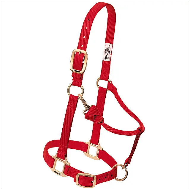 Weaver Leather 35-7034-Rd 1" Sm Red Snap Halter 1