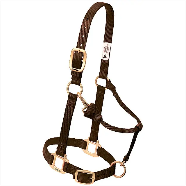 Large Weaver Horse Halter Nylon Heat Sealed Buckle Chin Throat Brown 1