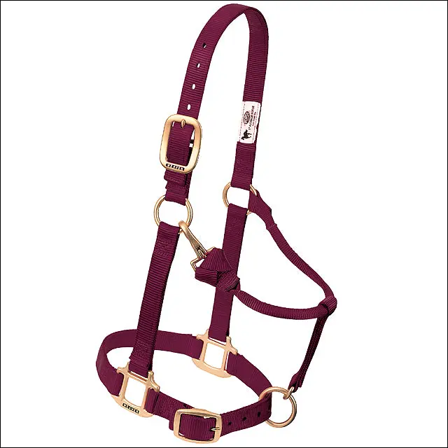 Large Weaver Horse Halter Nylon Heat Sealed Buckle Chin Throat Burgundy 1