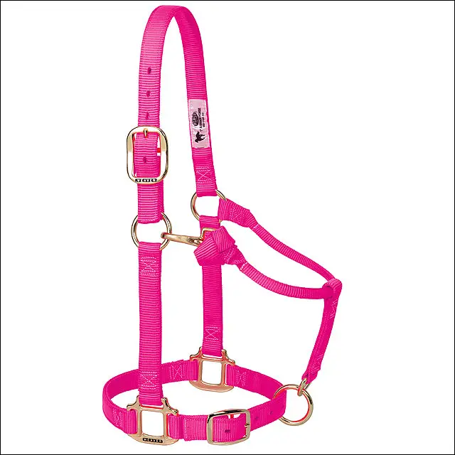 Large Weaver Horse Halter Nylon Heat Sealed Buckle Chin Throat Diva Pink 1