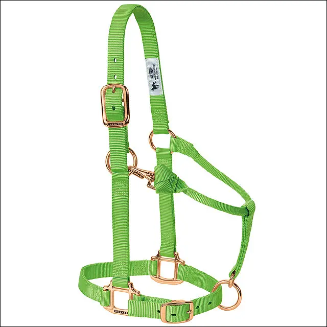 Large Weaver Horse Halter Nylon Heat Sealed Buckle Chin Throat Lime 1