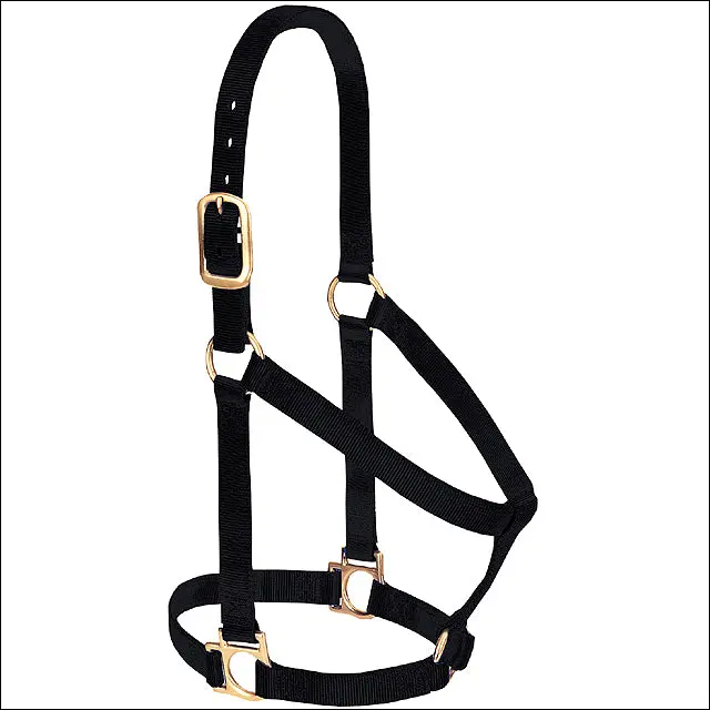 Black Weaver Western Tack Basic Horse Halter 1" Small Weanling Draft 1