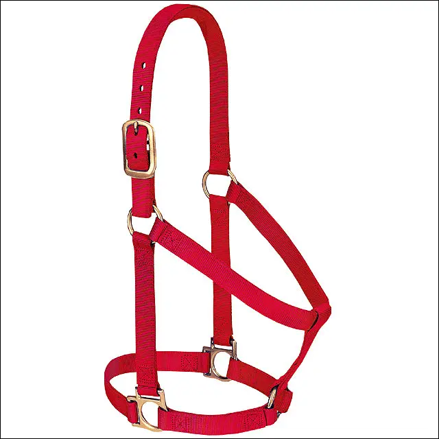 Red Weaver Western Tack Basic Horse Halter 1" Small Weanling Draft 1