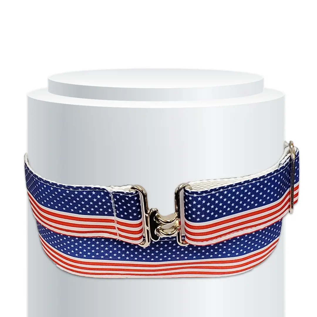 Equiparent In The Loop Usa Belt 1