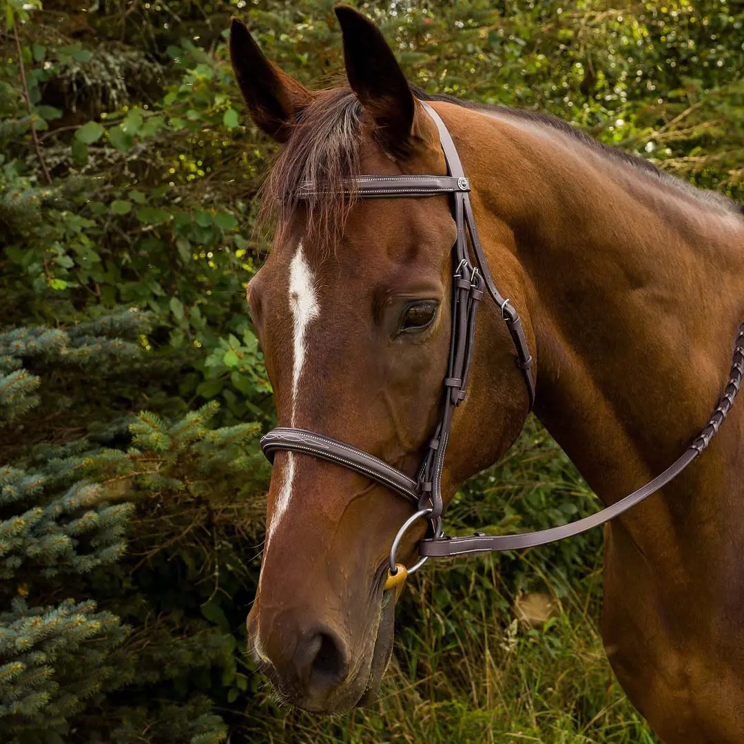 Henri de Rivel Advantage Fancy Stitched Padded Bridle