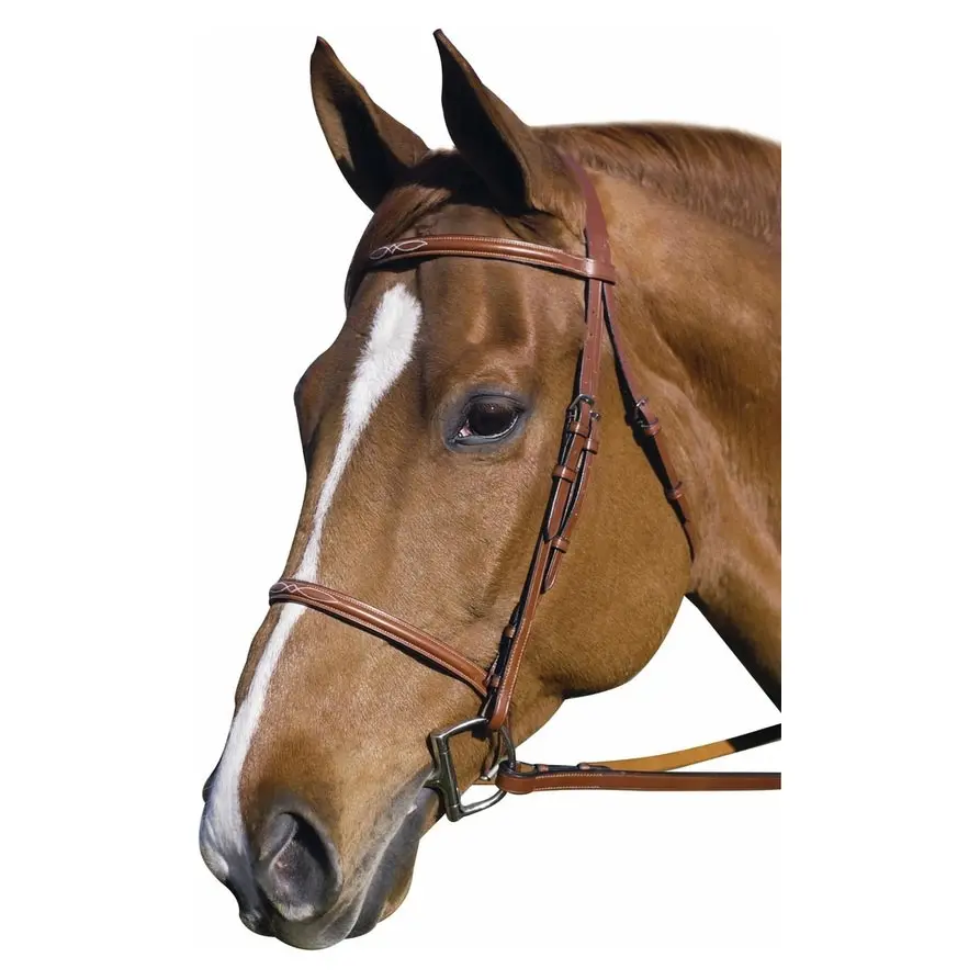 Henri De Rivel Pro Fancy Raised Bridle With Laced Reins 1
