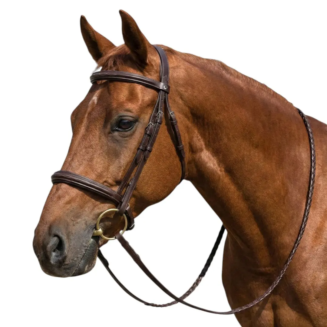 Henri De Rivel Advantage Mono Crown Padded Bridle 1