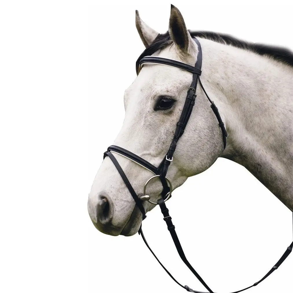 Henri De Rivel Pro Padded Dressage Bridle With Flash And Web Reins 1