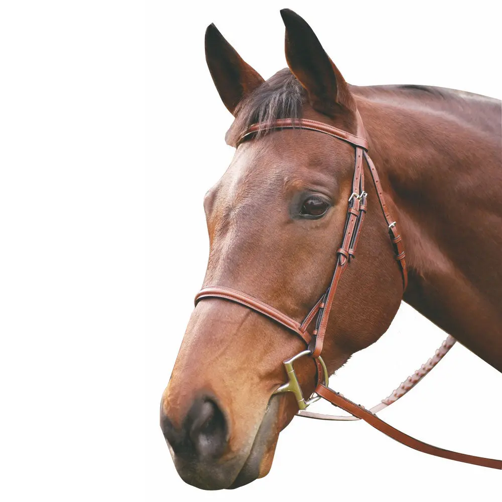 Henri De Rivel Advantage Plain Raised Snaffle Bridle With Laced Reins 1