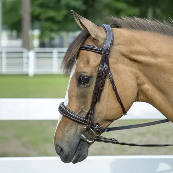 Henri De Rivel Pro Mono-Crown Padded Wide Noseband Bridle 1