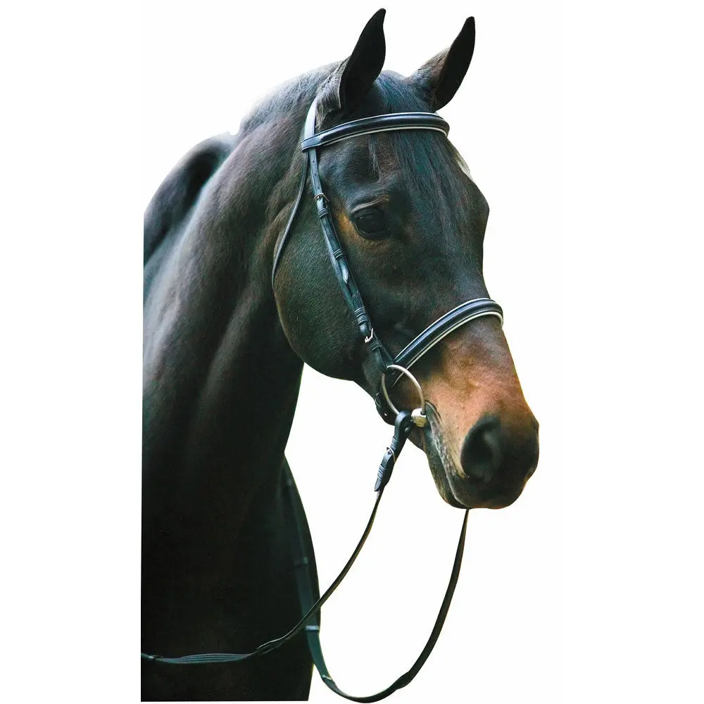 Henri De Rivel Pro Padded Dressage Bridle With Web Reins 5