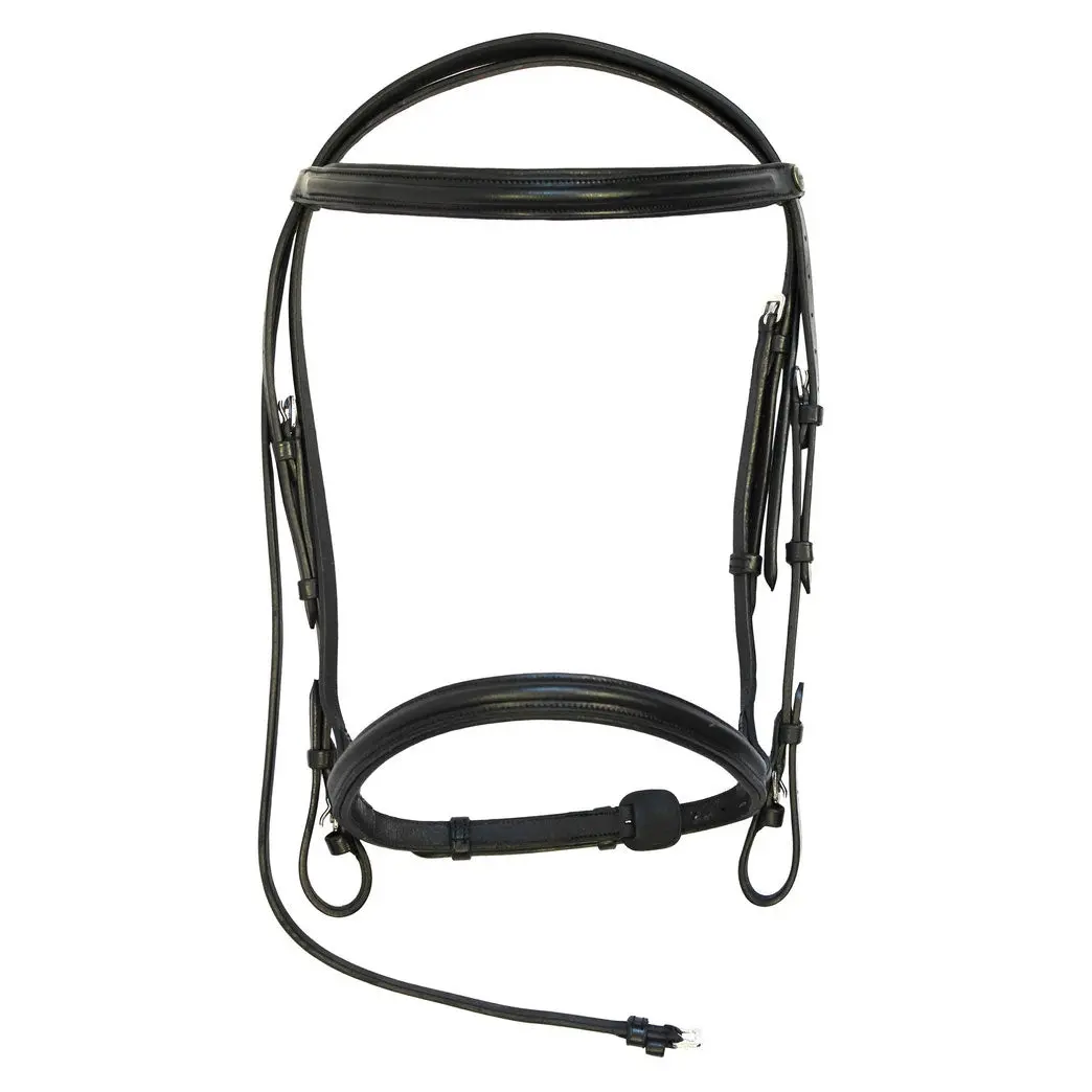 Henri De Rivel Pro Padded Dressage Bridle With Web Reins 1
