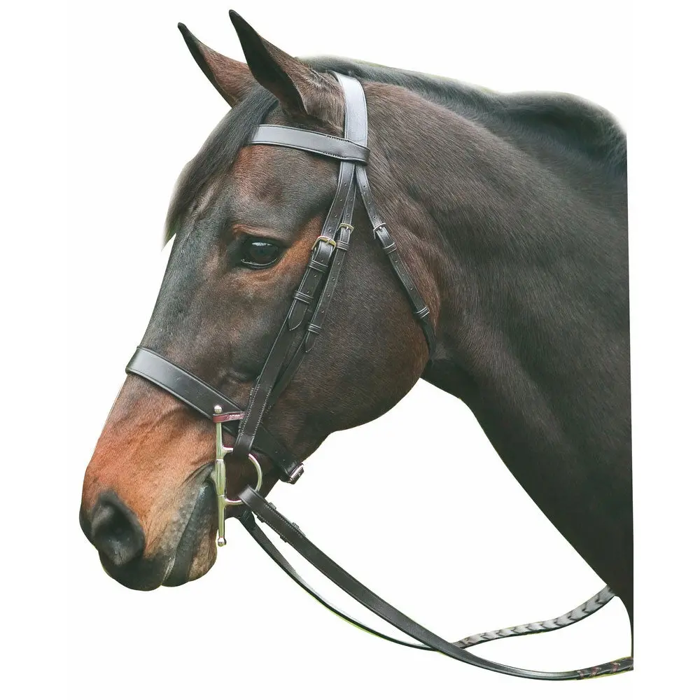 Henri De Rivel Advantage Hunt Bridle 1