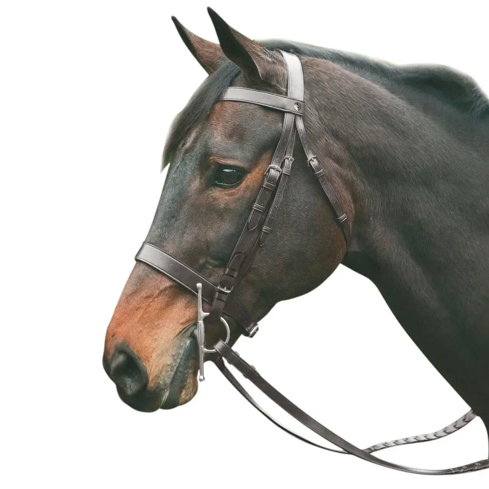Henri De Rivel Polo Bridle With Double Reins 1