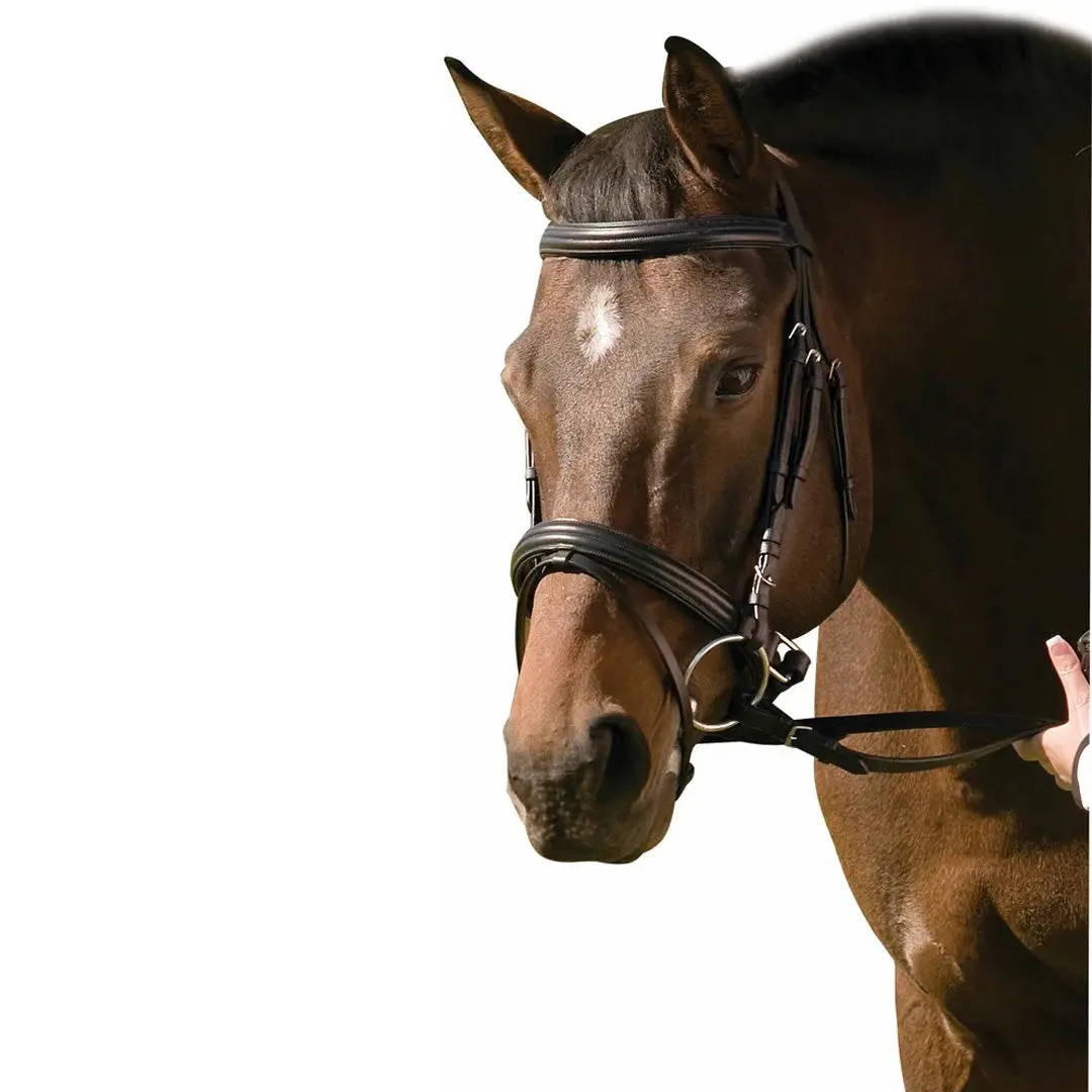 Henri De Rivel Pro Padded Raised Dressage Bridle With Crank Flash Noseband With Web Reins 1
