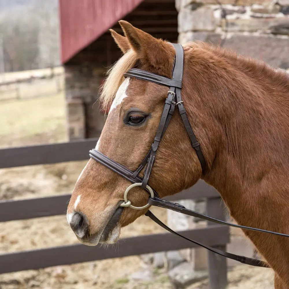 Henri De Rivel Pro Mono Crown Padded Bridle 1