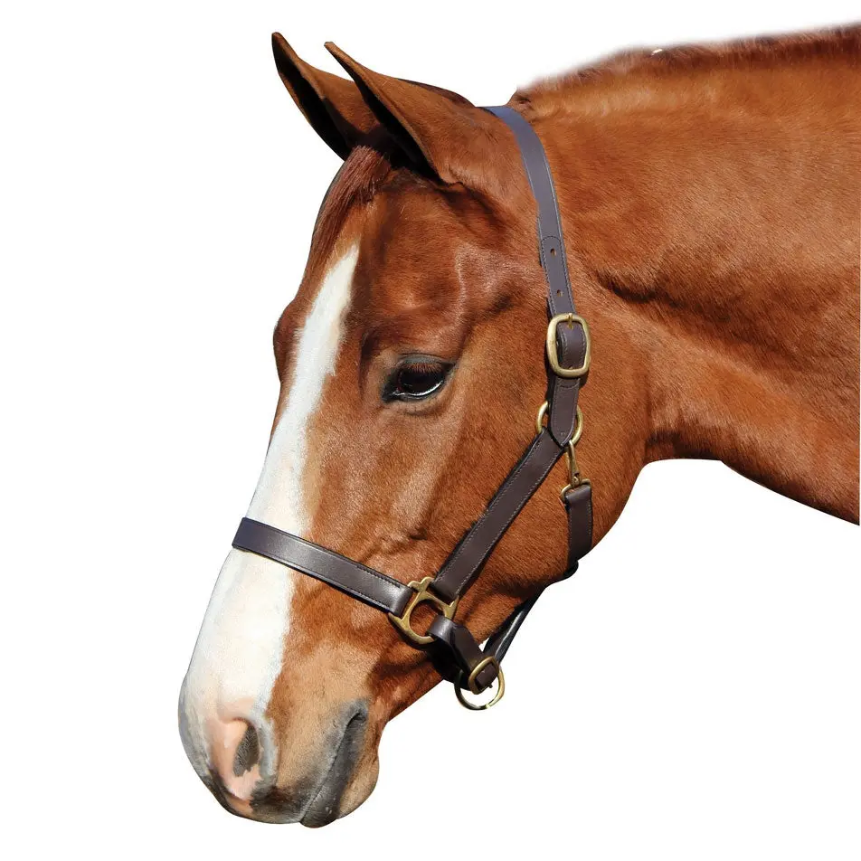 Henri De Rivel Advantage Leather Halter – Refined Craftsmanship & Durability