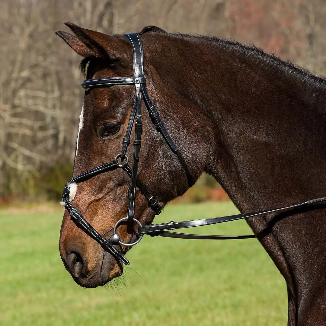 Henri De Rivel Pro Mono Crown Raised Figure Eight Bridle With Rubber Reins 1