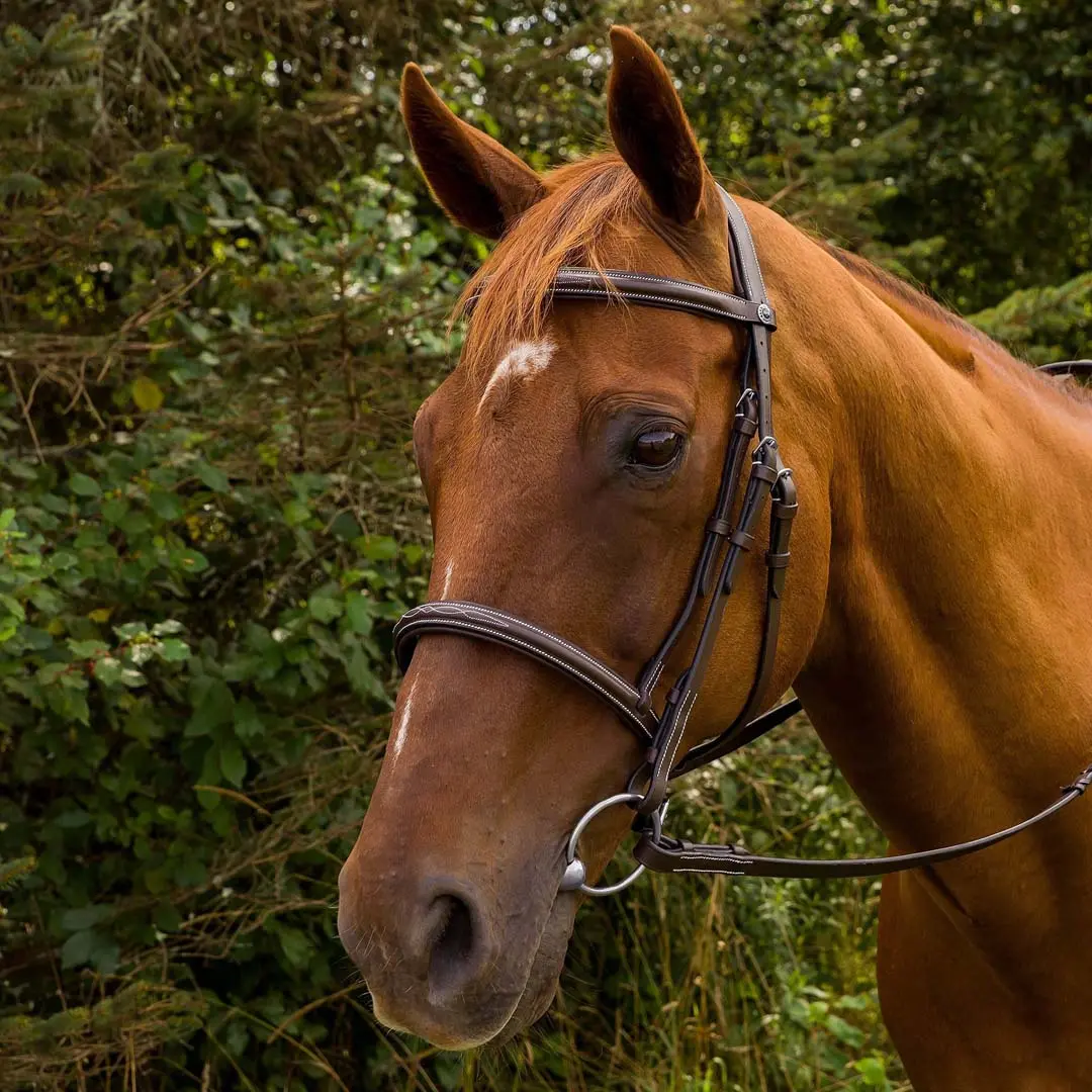 Henri De Rivel Pro Mono Crown Fancy Stitched Padded Bridle 1
