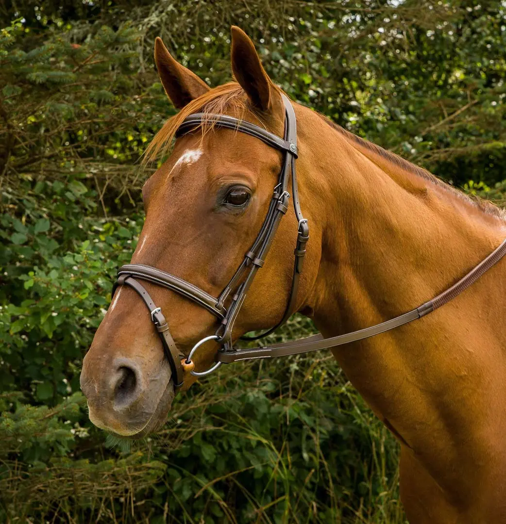Henri De Rivel Pro Mono Crown Bridle With Flash And Rubber Reins 1