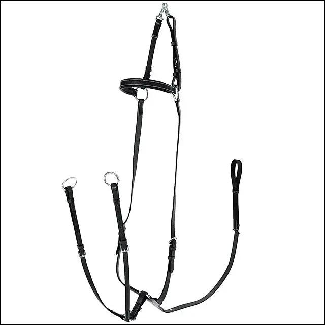 Horze Adjustable Horse Hunting Breastplate Martingale Blue Full Size Black 1