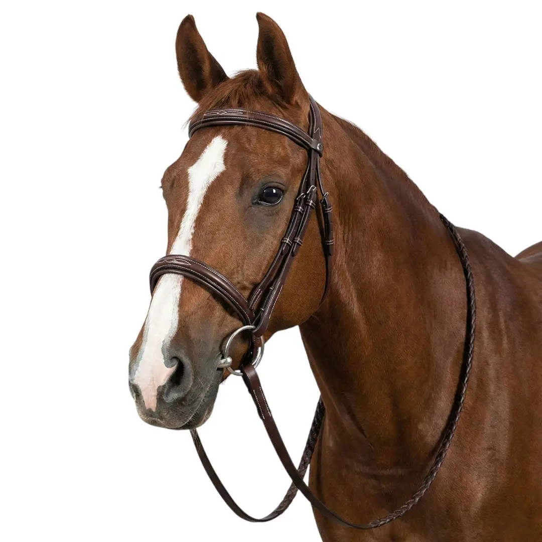 Henri De Rivel Pro Mono Crown Fancy Bridle With Patent Leather Piping And Laced Reins 1