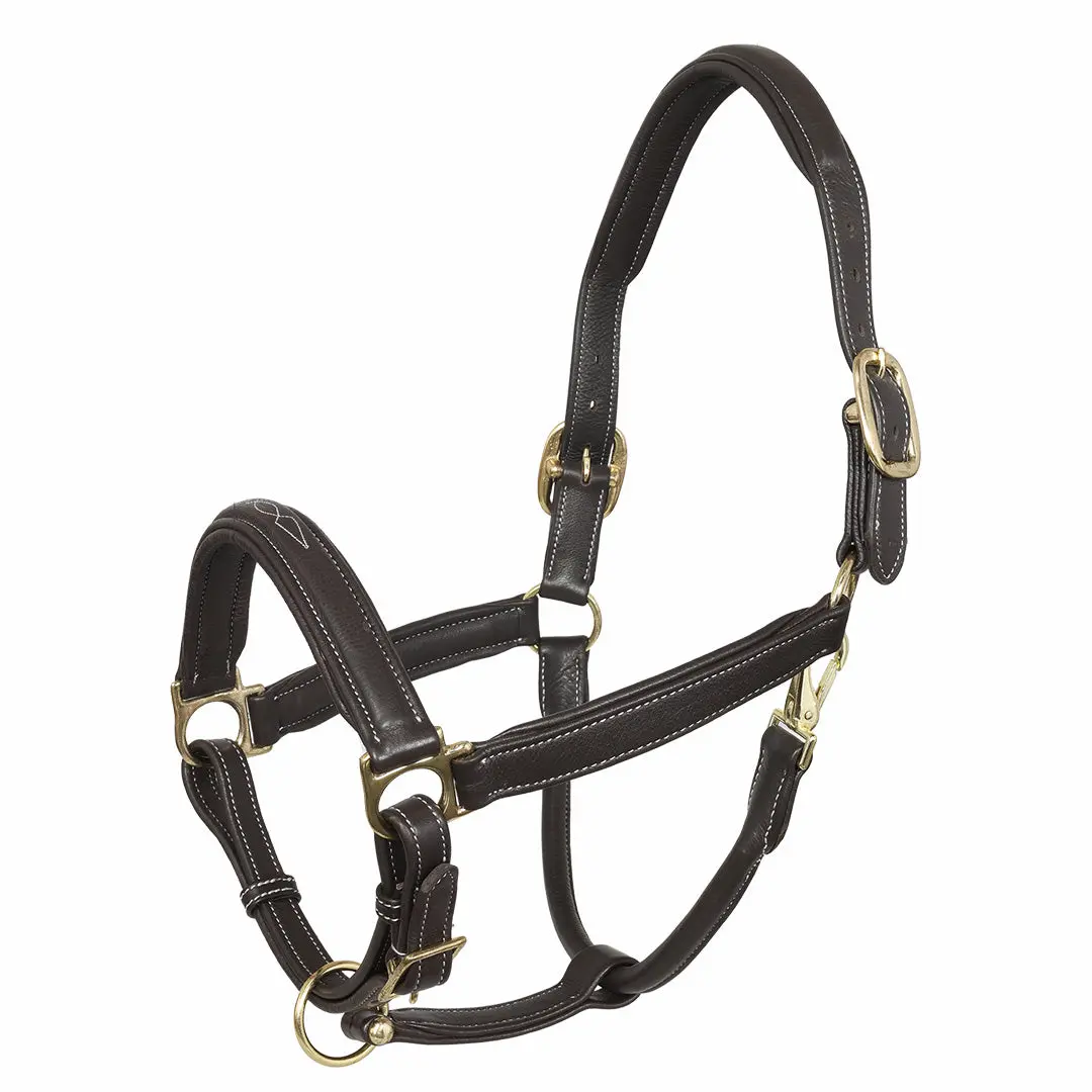 Henri De Rivel Laureate Fancy Stitched Grippy Leather Halter With Brass Fittings 1