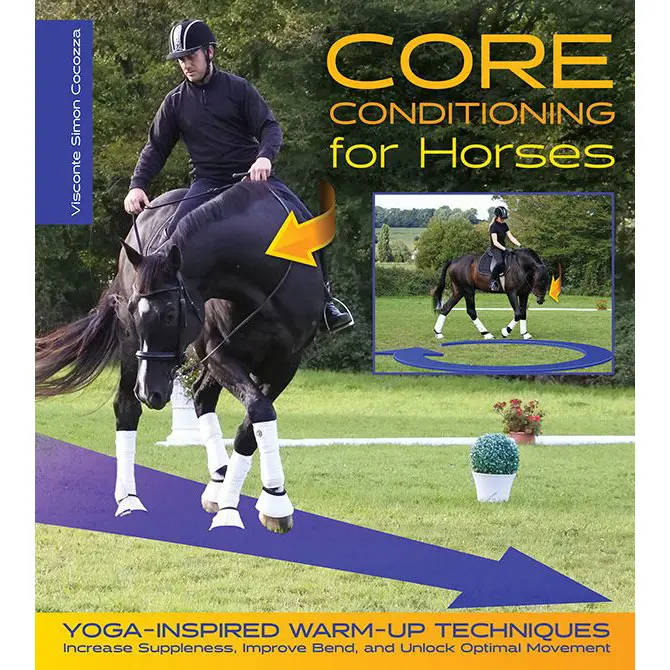Core Conditioning For Horses 1