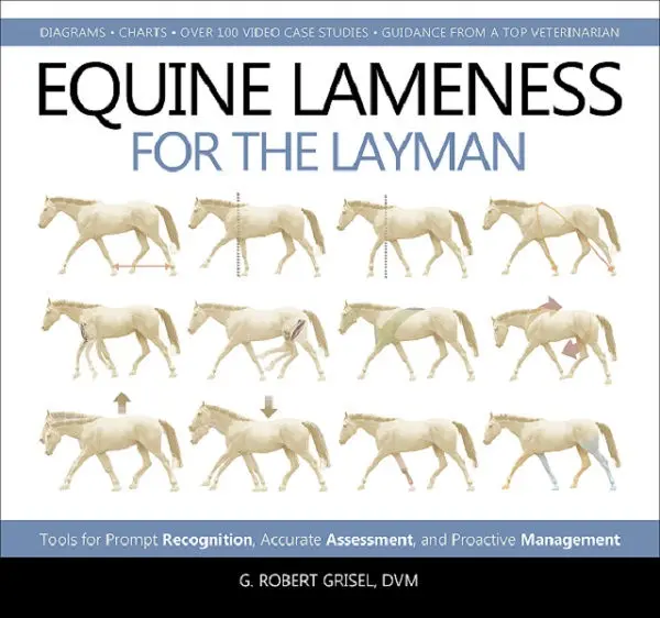 Equine Lameness For The Layman 1